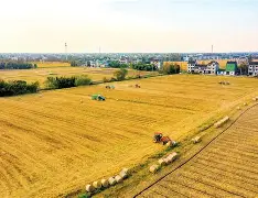 冂ophonecpycckoron 冂ophonecpycckoron